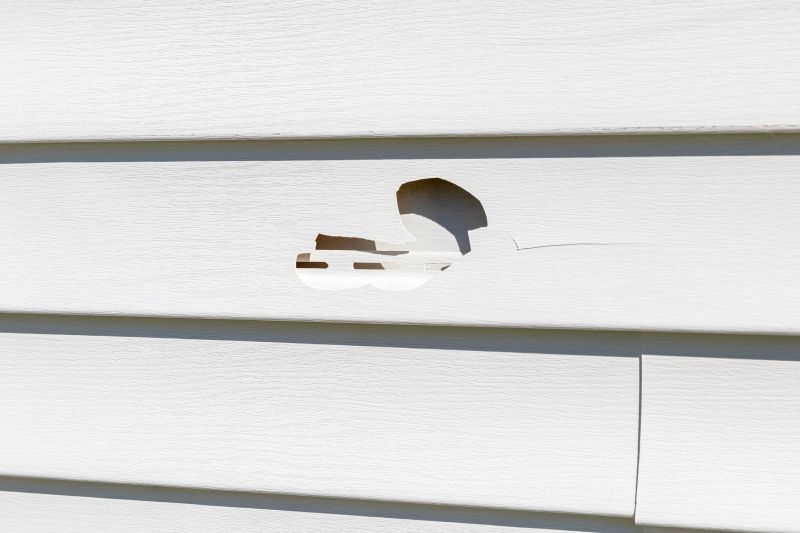 Vinyl Siding Hole Repair